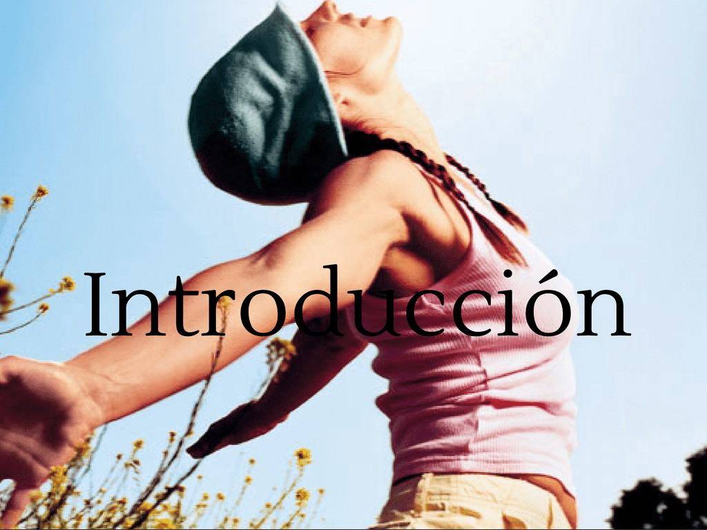 Introducción reinventar