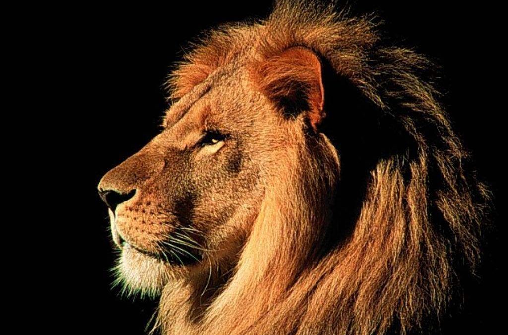 El coaching te recuerda tu Grandeza